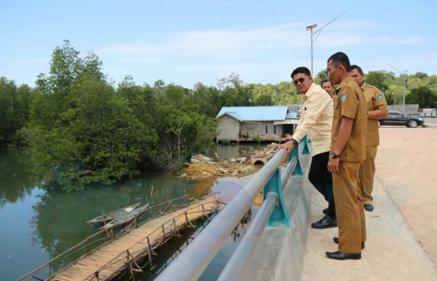 Bupati Bintan :  “Jembatan Belak, Penaga Sudah Bisa Digunakan”